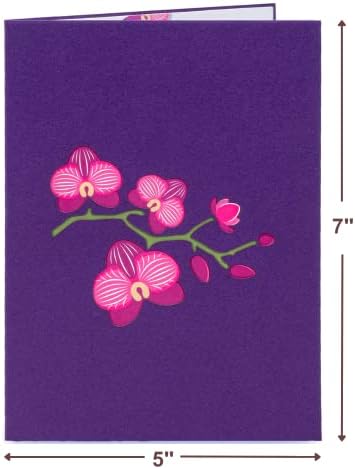 Хартија Љубов Орхидеи 3Д Скокачка Картичка, За Вљубените, Денот На Мајките, Сите Прилики-5 х 7 Покритие-Вклучува Плик И Белешка Таг