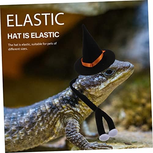 Bcoatt 1 сет ползи на вештерка шапки рептили чудо миленичиња ла црна капа магионичар магионичар капа, рептил јака карневалска мачка костум