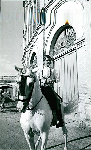 Гроздобер фотографија на јавањето на коњите на Тарин.