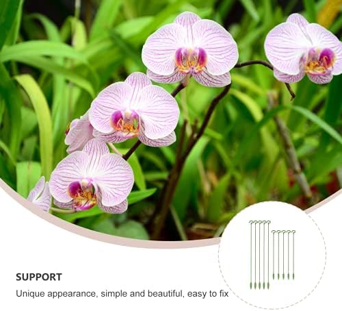 Мал цветен штанд 10 парчиња растителни влогови единечни матични растенија Поддршка градина високи растенија за поддршка на фабрика за фабрика за