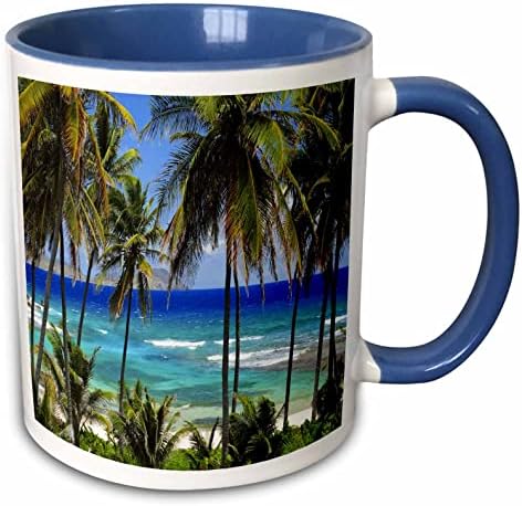 3drose Тропски дневна сцена со нишање палми и погледи на синиот океан - чаши