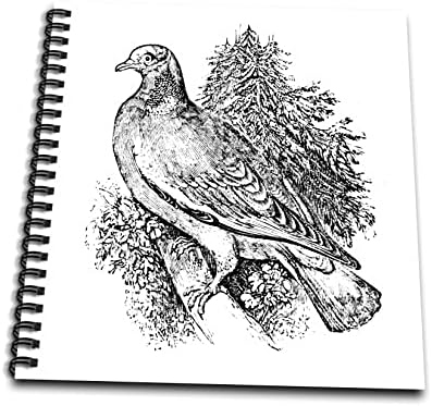 3drose гроздобер дрво гулаб илустрација за животински свет животни за птица. - цртање книги