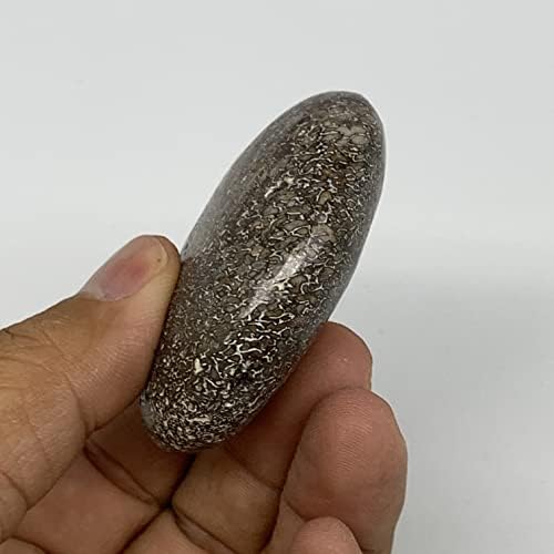 62.3g, 2,2 x1.7 x0.8 диносаурус коска палма-камен галетска форма полирана @morocco, Reiki Energy Crystal, метафизички, B20425