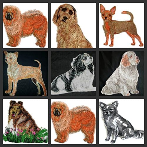 Неверојатни портрети за кучиња [Клумбер Спаниел] Везено железо на/шива лепенка [4,5 x 4] направено во САД]