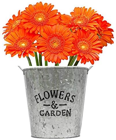 3 пакувања - галванизирани цвеќиња и градинарски садови за метали со рачки - совршени за домашни украси, свадби или забави