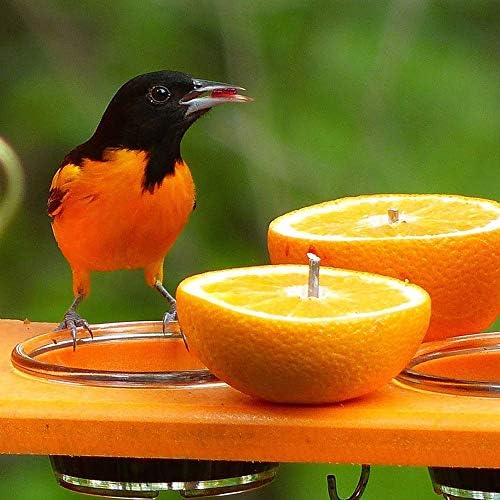 Избор на птици Snof oriole фидер, фидер за птици Nectar & Jelly, 2 чаша капацитет, портокал