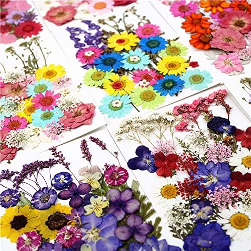 190 парчиња сушен цвет втиснувачки материјал торба, рачно изработен сушен цвет од DIY вистински цвет, природни лисја, комбинација