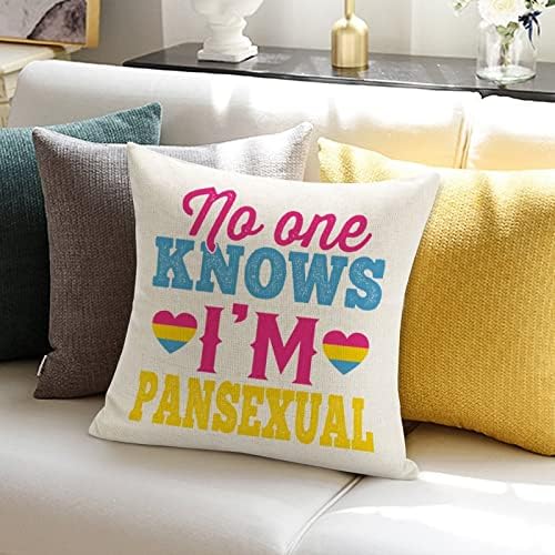 Никој не знае дека сум пансексуална фрлање перница, романтична перница, родова еднаквост ЛГБТК геј гордост лезбејска перница, прекривка