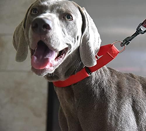 Јака од кучиња Алеинзео Мартингејл, јака од најлонски кучиња со тешки култури, црвена, мала