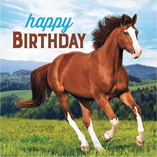 Диви коњи за роденденска забава во дизајн на коњи и пони