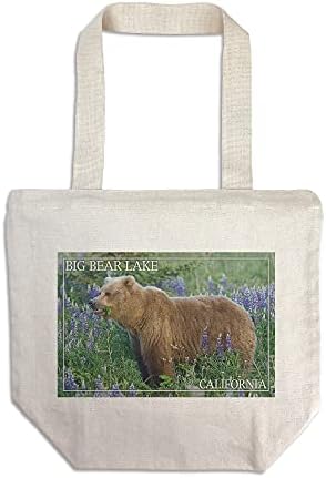 Фенер Прес Биг Мечка Езеро, Калифорнија, Гризли мечка и диви цвеќиња