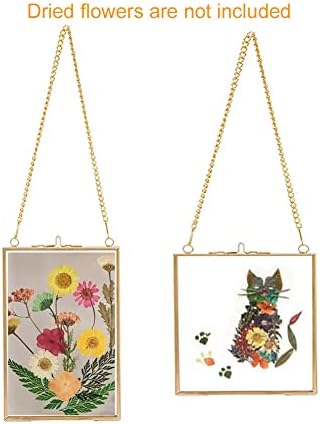 4 парчиња стаклена рамка за DIY притиснати цвеќиња Уметност - Месинг за висина на слики со слики - Златна лебдечка стаклена рамка со ланец -
