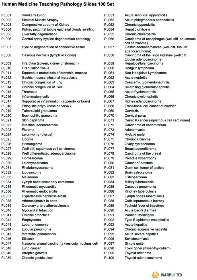 100-Сет Подготвени Микроскоп Патологија Слајдови За Човечка Медицинска Едукација Студија