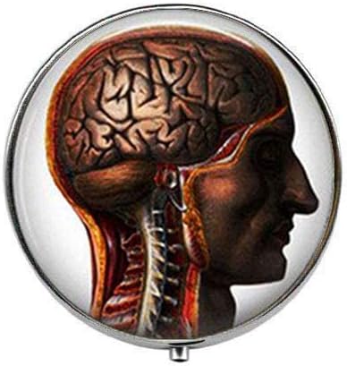Човечки Мозок Човечка Анатомија Гроздобер Накит - Уметност Фото Пилула Кутија - Шарм Пилула Кутија-Стакло Бонбони Кутија