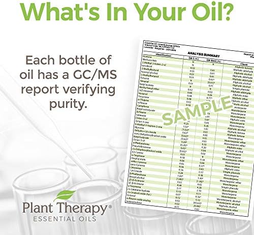 Растителна терапија Природна есенцијална масло мешавина од 100 мл чиста, неразредена, природна ароматерапија, терапевтска оценка