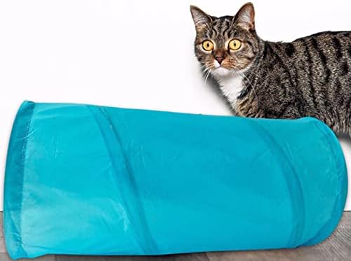 Бруикс Мачка Тунел Прозрачен Ефект Склопувачки Тренинг Затворен за Мачка Мачка