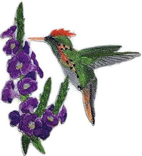 Надвор од природата ткаени во навои, Неверојатни птици Кралство [Tufted Coquette Hummingbird со Porterweed Flower] [Обично и уникатно] везено