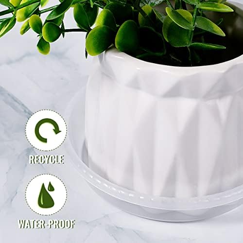 YUNTOP 10 пакет чиста пластична растителна чинијачка, издржлива растителна лента за садови за садови за садови за садови за садови