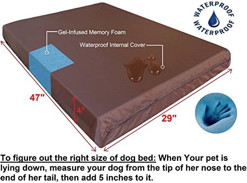 Dogbed4less XL Ортопедска Меморија Пена Куче Кревет Со Машина Перат Покритие, Водоотпорен Поставата За Средно До Големо Милениче,