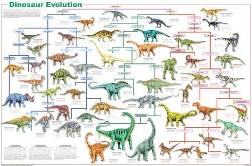 Peenixx Publishing Dinosaur Evolution Poster 24x36