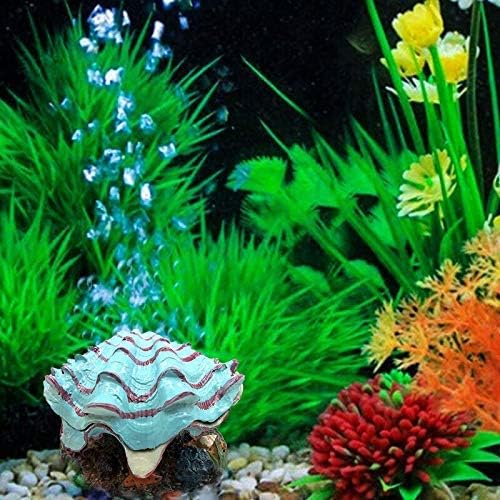 Декорација на аквариумска школка Абнаок, украс во живо на тропска мида, за аерирање на резервоарот за риби, аквариум кислород