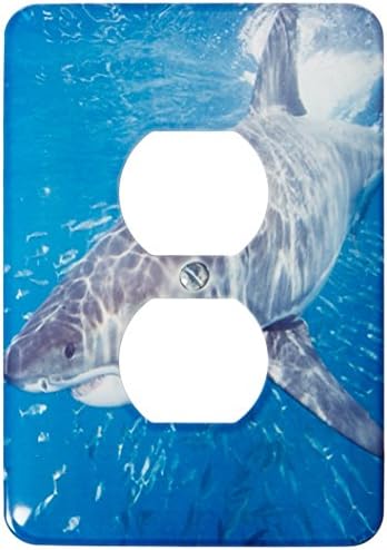 3дроза Лсп_46321_6 Ајкула, Кархародон Кархариас, Исто Така Познат Покажувач и Бела Смрт. Мексико Излез Покритие