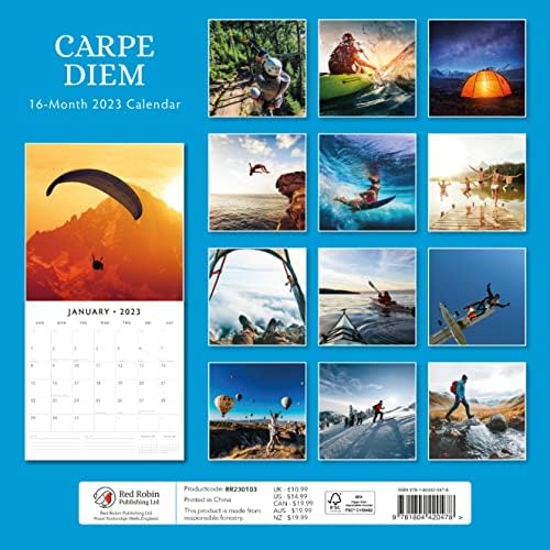 2023 Месечен календар на wallидот на Carpe Diem од Red Robin Calendars 12 x 12