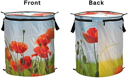Цвеќињата со црвена афион се појавуваат со алишта за алишта со капакот за складирање на капакот за склопување на алишта за перење во хотелски дом за кампување во хо