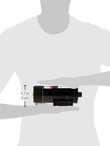 Flojet 18550000A 13 GPM RV Macerator Pump