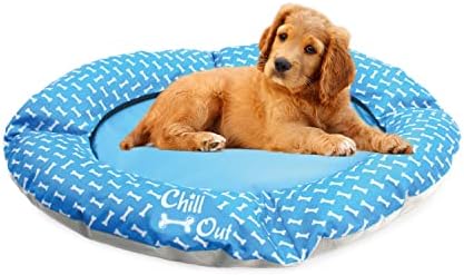 Сите за шепи кучиња лебдат за базен, нема потреба да се надува базен плови за кучиња кучиња плови сплав кучиња пливање плови што