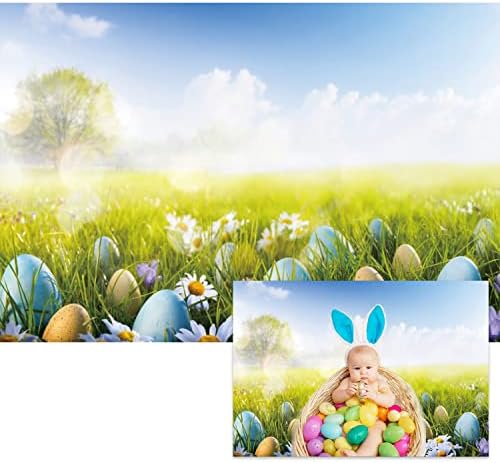 Ренаис 5x3ft Пролет Велигденска позадина Шарени јајца цветни сини небо бело облаци трева природа позадина позадина деца бебиња
