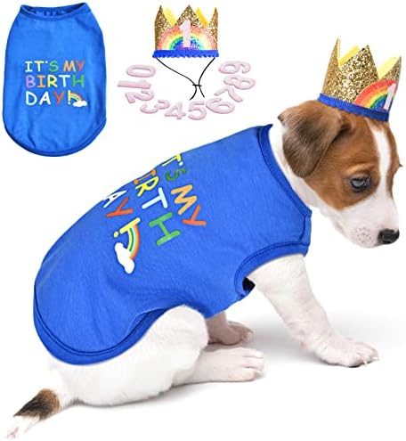 Куче роденденска капа за роденденска кошула и капа сет куче роденденска забава материјали летни миленичиња облека маици кул кученца