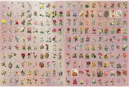 Гроздобер цветни белешки за книги DIY материјали за материјали за хартија сет на природа Зелена фабрика за цвеќиња за цвеќиња за украси