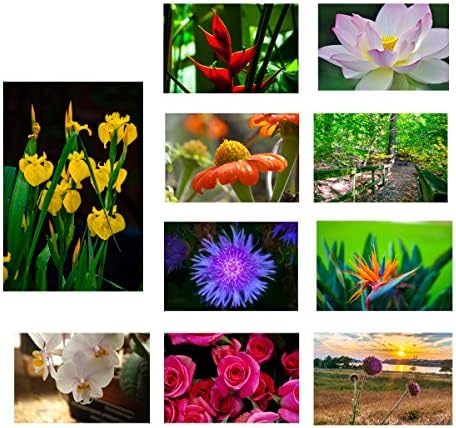 Осветлете ги сите прилики со живописни цвеќиња: 10 премиум честитки со прекрасна цветна фотографија од целиот свет од Марвин Баузер,