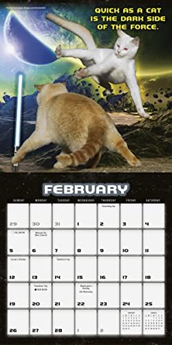 Војна на мачки 2023 мини календар, 7 x 7