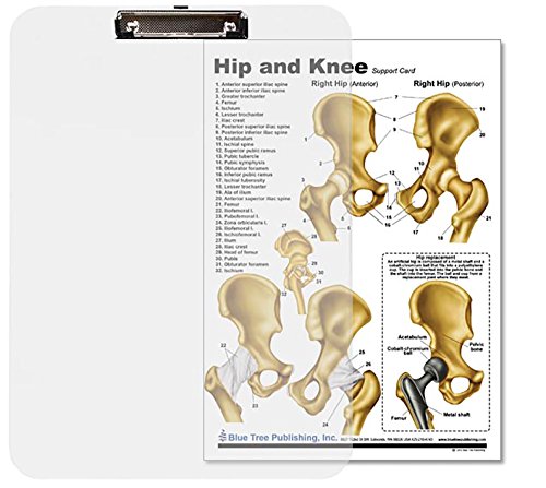 Анатомска табла за инсертирање на колкот и коленото