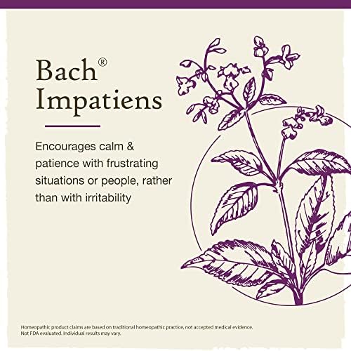Оригинални лекови за цвеќиња од Бах, Импатиенс за трпеливост, природна хомеопатска цветна суштина, веган, капнување од 10 мл