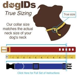 Dogids персонализирана јака за кучиња Мартингејл најлон - обичај, извезена, безбедна, направена во САД - розова со црн вез, 1 во x 17-24