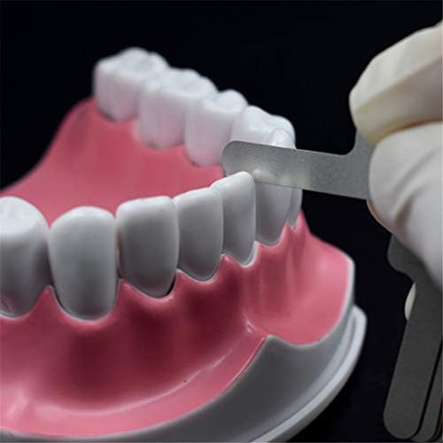 Xxxdxdp Орална стоматолошка интерпроксимална мерка на владетел мерка на јаз на забите Не'рѓосувачки челик Систем за реципроцитет Ортодонтски