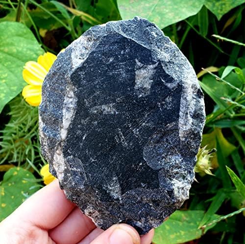 Ортоцерас фосилен полиран камен примерок Голем природен лековит метафизички духовен скапоцен камен кристален скапоцен камен - парче 2