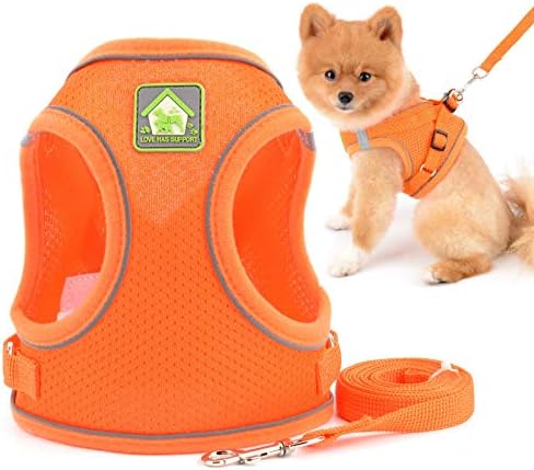Smalllee_lucky_store Comfort кученце и поводник, мека решетка за чекори за мали средни кучиња, рефлективно безбедно одење, портокалова, големина