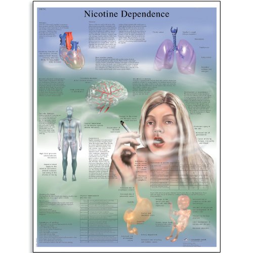 3B Научна VR1793UU сјајна хартија за никотин зависност Анатомска табела, големина на постер 20 ширина x 26 Висина