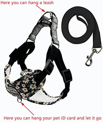 Qwinee Cog Harness Set, прилагодлива кучиња елек за кучиња, прицврстувач на кучиња и поводник постави цветни кучиња за кучиња и поводник