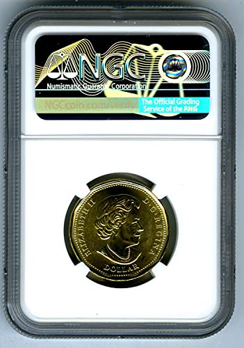 2021 КАЛИФОРНИЈА Канада 125 Годишнина КЛОНДАЈК ЗЛАТНА ТРЕСКА Обоени ПРВИ ИЗДАНИЈА Лун Луни Комеморативна Монета G 1 Скапоцен