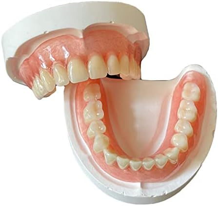 Модел на заби на забите KH66ZKY - Стандарден модел