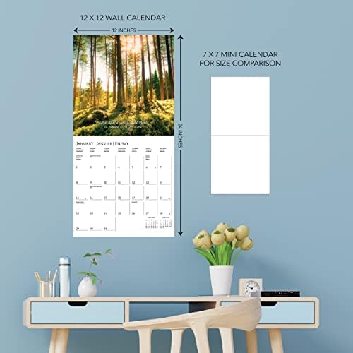Графика 2023 Ѕиден Календар во Шумата | 12 х 12 | Густа Хартија | Почетна &засилувач; Организатор На Канцеларија | Голема Месечна