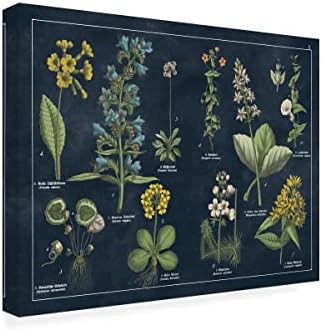 Трговска марка ликовна уметност „Ботаничка цветна табела I Dark Blue 'Canvas Art by Wild Apple Portfolio 24x32