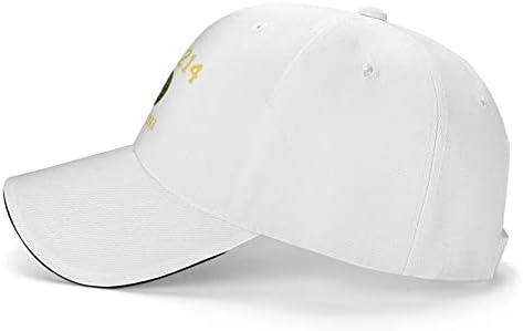 Американската армија DD214 Алу-Мни капи бејзбол капа Бејзбол капа прилагодлива мода на отворено капачиња унисекс