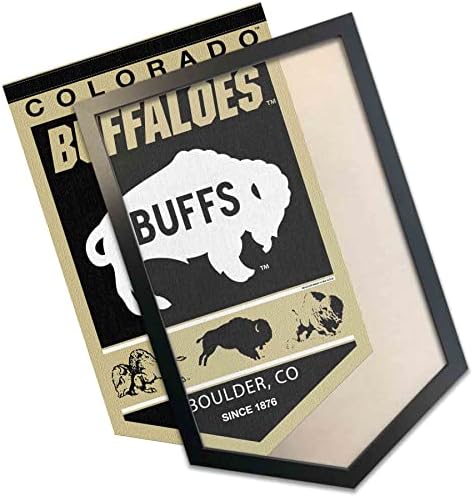 Колорадо Бафалос наследство Лого Историја Банер и рамка за банер на дрво