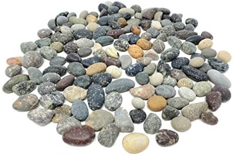Капкури Мали речни карпи - природни аквариумски карпи - Декоративен чакал - Мазни камења - околу .5 - 0,75 инчи - 2 фунти
